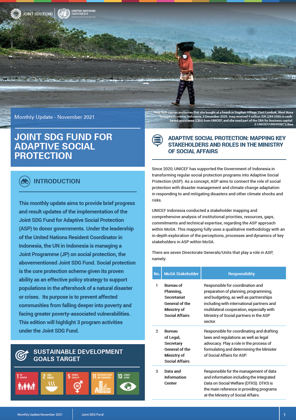 Newsletter Joint SDG Fund COVID-19 MPTF - November 2021