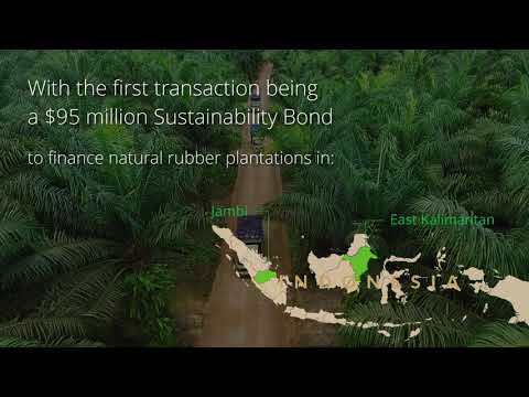 Valuing Tropical Landscapes Finance - Lessons & Opportunities in Indonesia