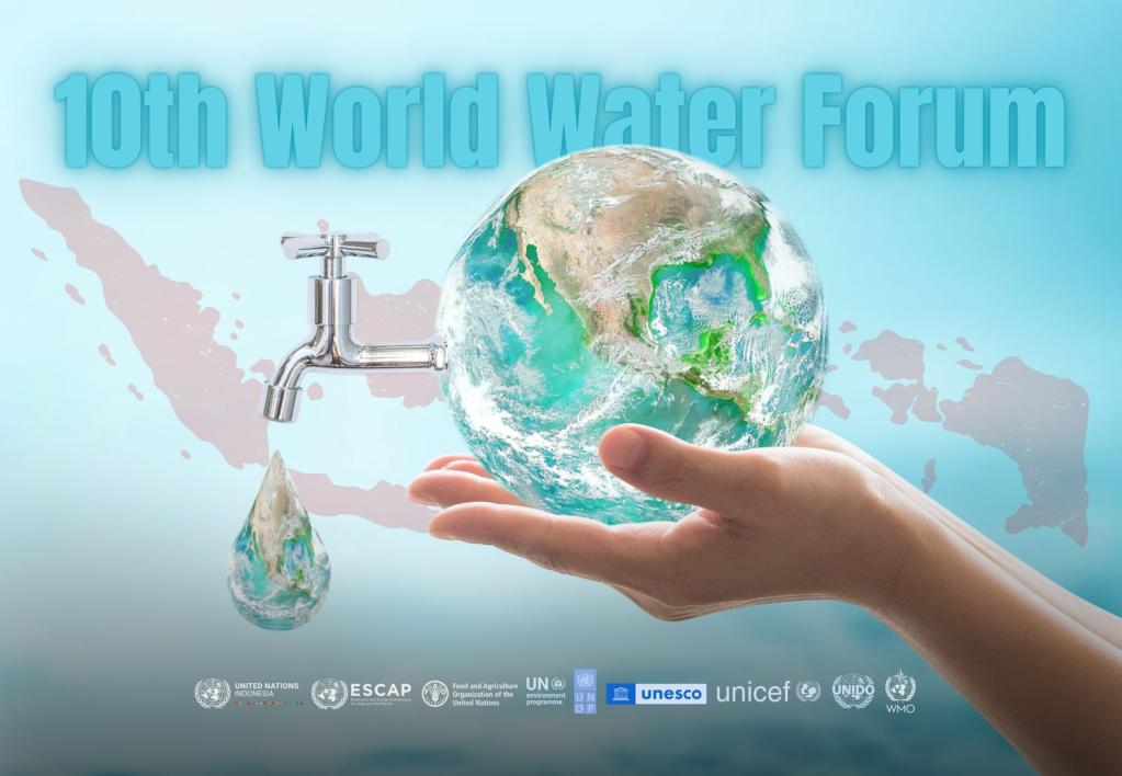 Poster for UN's involvement at the World Water Forum