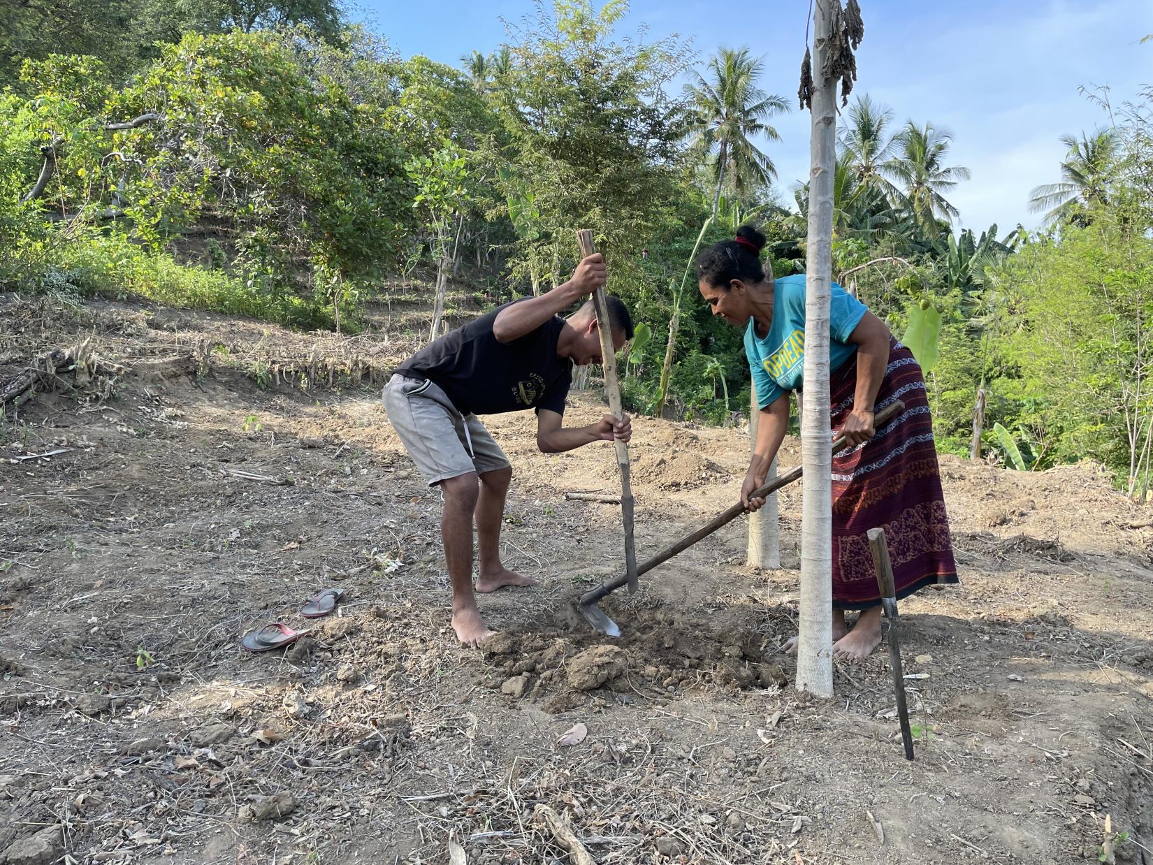 One woman and one man dug the land to create a terraced land.