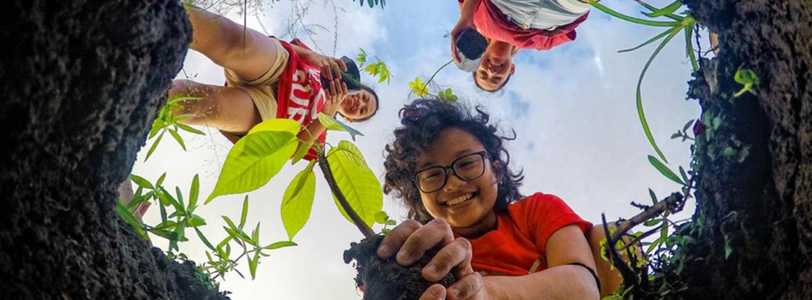 Green transition will result in creation of 8.4 million jobs for young people by 2030. Young people need to be well-equipped with green skills to navigate this changing environment.