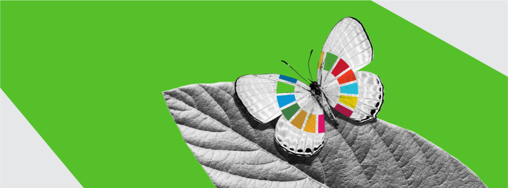 Act Now - For Sustainable Development Goals | United Nations In Indonesia