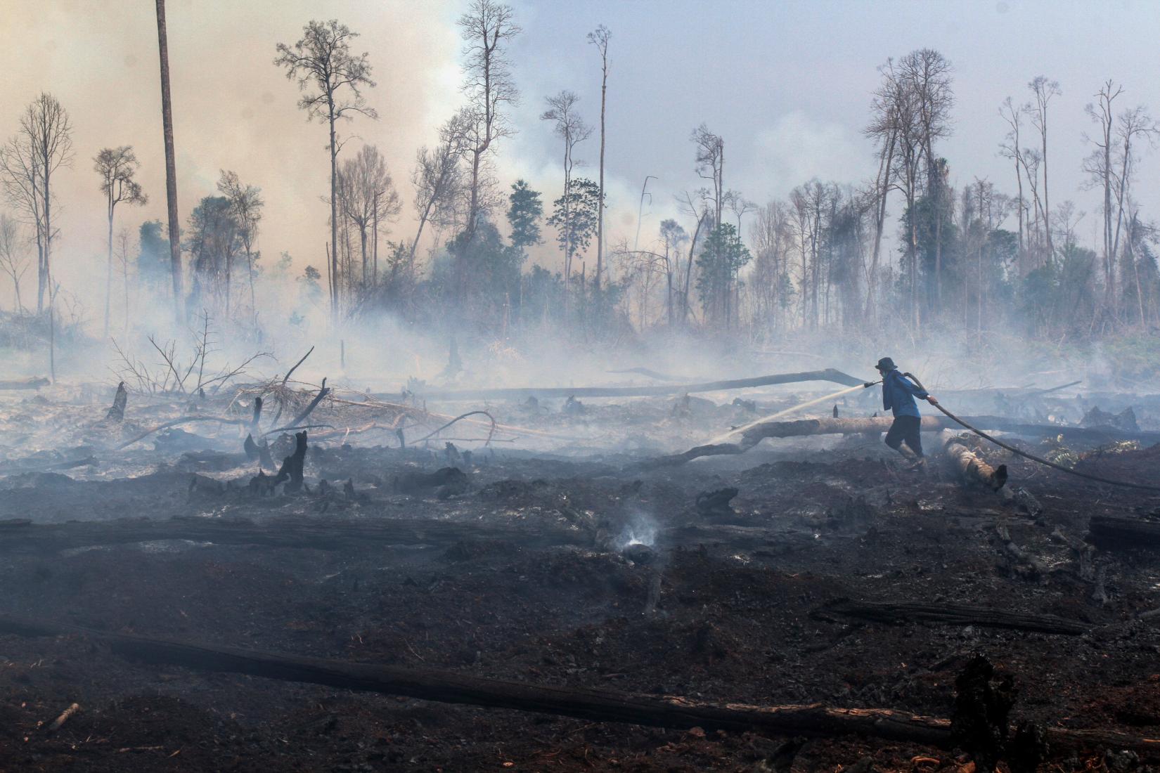 A man extinguish fire from burned peatland