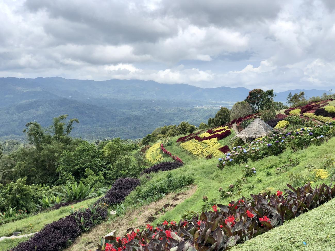 Pemandangan cantik di Tomohon, Sulawesi Utara, Indonesia menunjukan bukit hijau yang subur dengan pepohonan dan berbagai macam bunga.