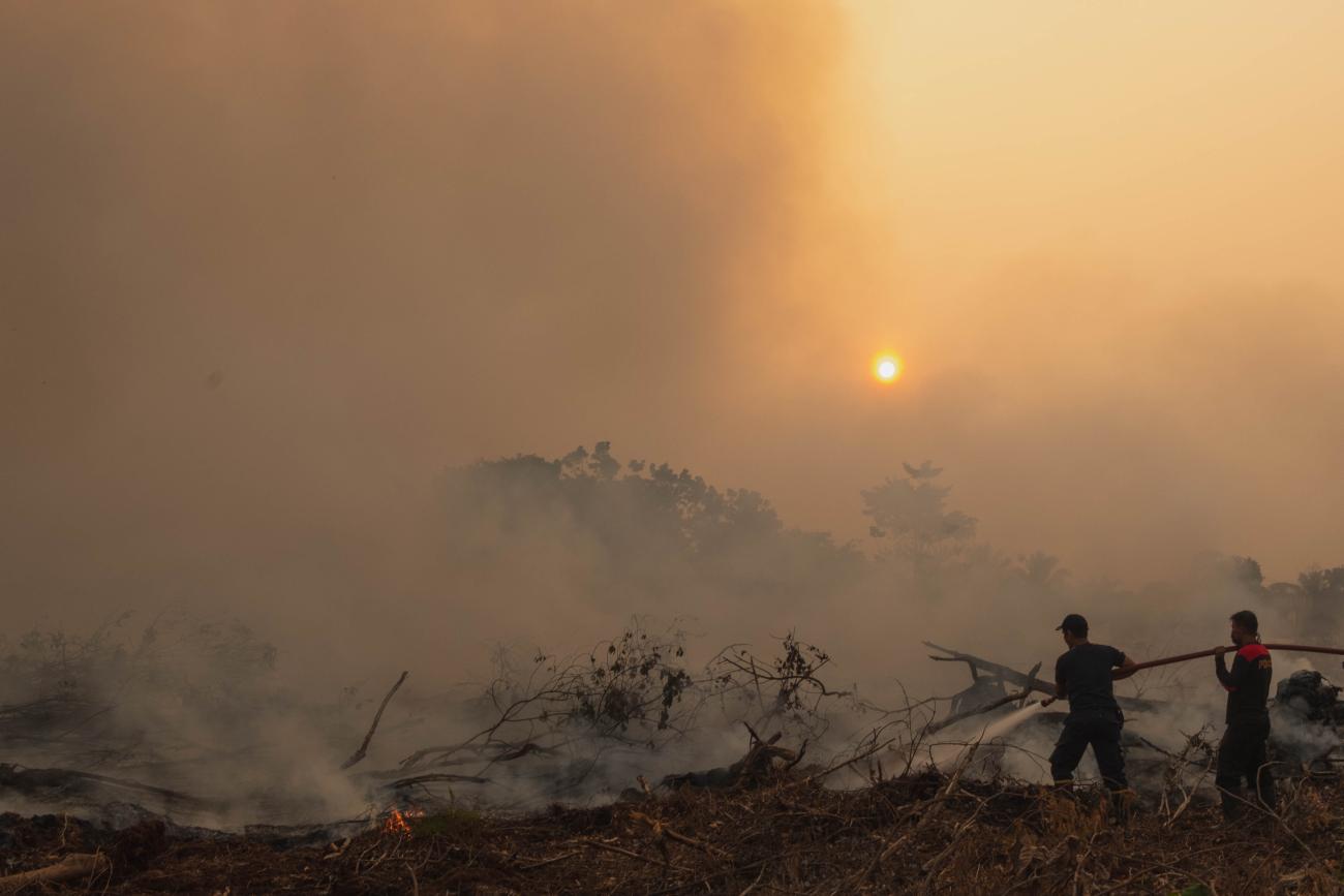 Two men extinguish fire on burnt peatland