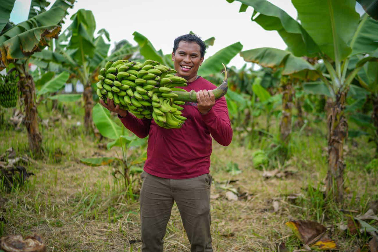 A man holding a bunch of bananas in a banana plantation