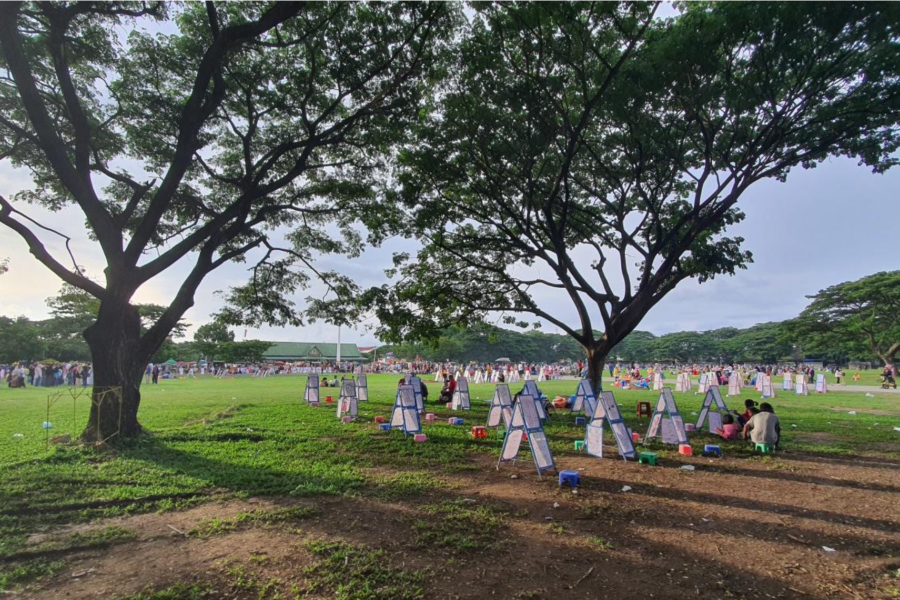 Some white signs are placed under two big trees in the field in Aceh. 