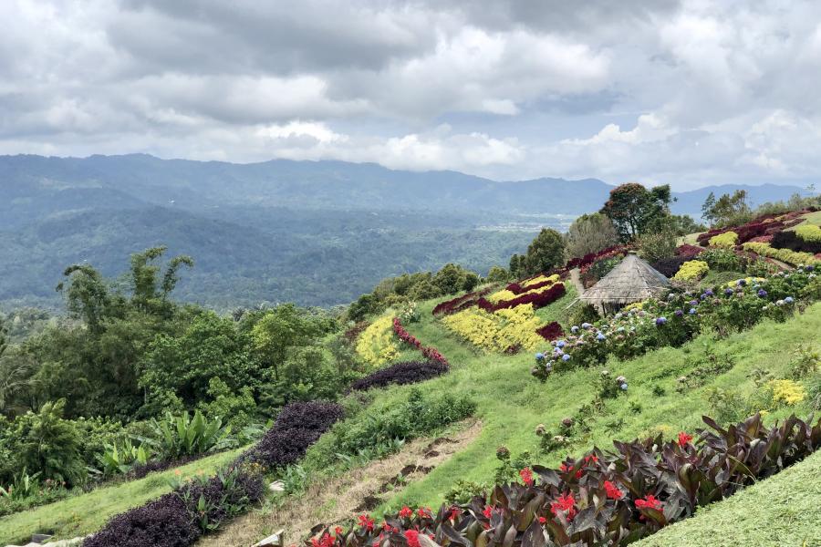 Pemandangan cantik di Tomohon, Sulawesi Utara, Indonesia menunjukan bukit hijau yang subur dengan pepohonan dan berbagai macam bunga.