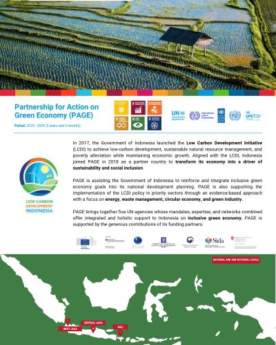 Partnership for Action on Green Economy (PAGE) Fact Sheet cover