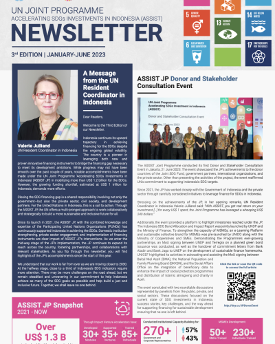 UN ASSIST Joint Programme Newsletter - 3rd Edition