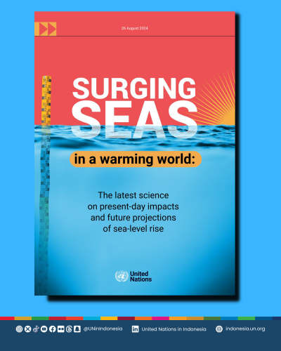 Surging seas in a warming world - Technical Brief cover