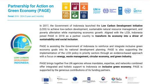 Partnership for Action on Green Economy (PAGE) Fact Sheet cover