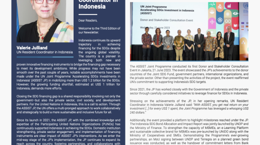 UN ASSIST Joint Programme Newsletter - 3rd Edition