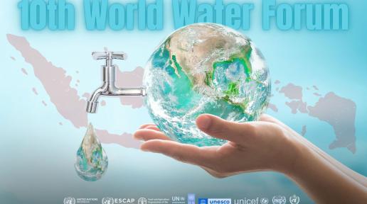 Poster for UN's involvement at the World Water Forum