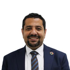 Mr. Ahmed El Saeed